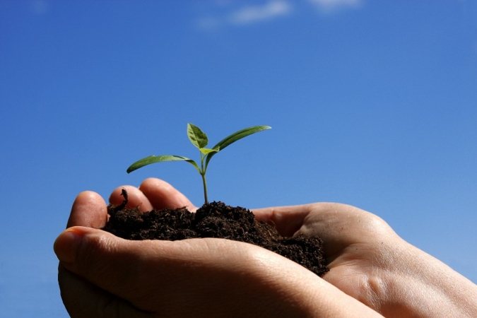 Drei Jahre Arbeit haben ein Praxiswerk mit Signalwirkung entstehen lassen Photo: adpic