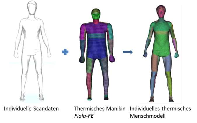 Abb. 5: Generierung eines individuellen thermischen Menschmodells (Testperson 1)