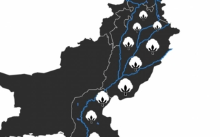 Baumwolle-Pakistan-Flaeche.jpg