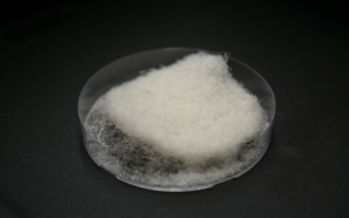 Photos: Hohensteiner Institute HMU/IHB