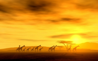 Afrika ist im Kommen lautet das Fazit des Forums Photo: fotolia