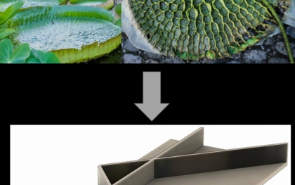 Von der Natur zum fertigen Bauteil