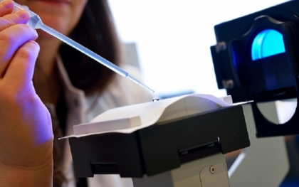 Biobasierte Polyester