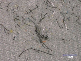 textiles-Mikroplastik.jpg