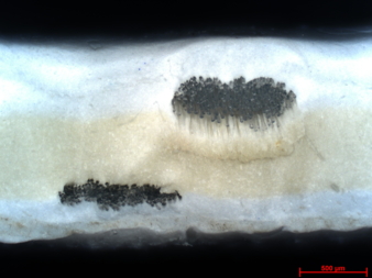 HF-Schweißnaht-Querschnitt , PP-beschichtetes PES-Gewebe, HF-verschweißt mit Hostaphan-Folie in der Fügezone│© ITM